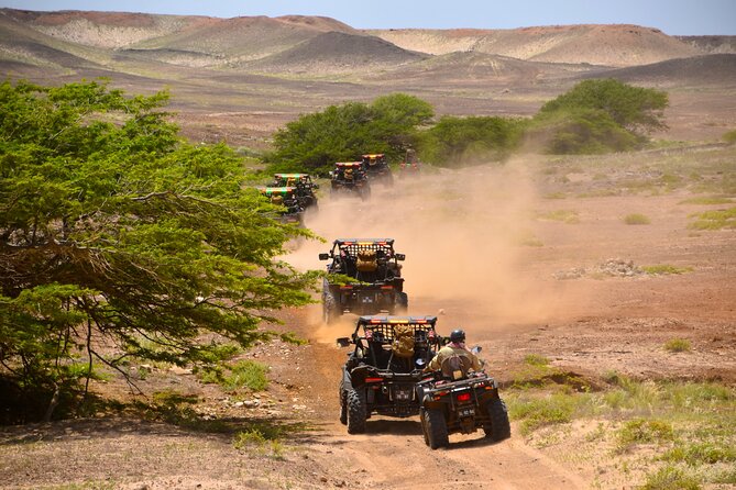 2h SSV Buggy Desert Adventure - 1000cc or 500cc - Serra Negra and the wild eastern coast