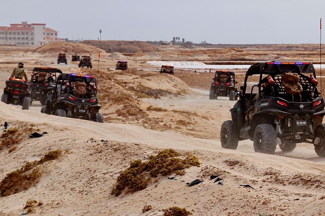 2h SSV Buggy Desert Adventure - 1000cc or 500cc - Ponta Preta, black rock, and changing sand