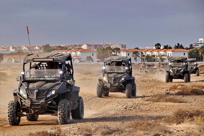 4h SSV Buggy Island Adventure - 1000cc or 500cc - Shark Bay and the lemon sharks