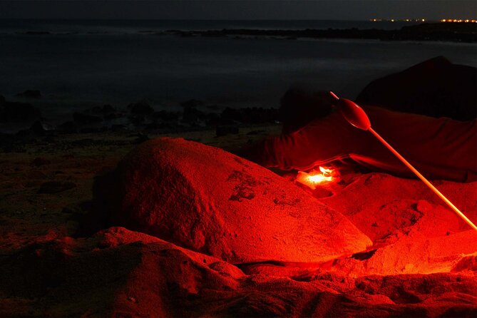 4h Turtle Watching with SSV Buggy Night 4WD - The rules that protect the experience