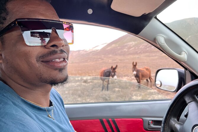 4WD Boa Vista group day tour south and north with sandboarding - Varandinha’s caves and red-billed tropical birds