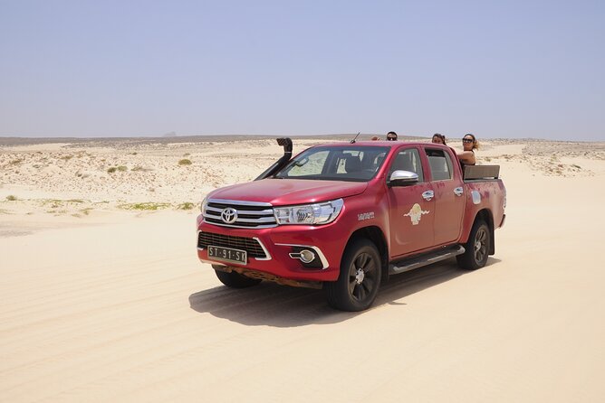 4x4 Tour - Sandboard, Shark & Green Turtle's Bay, Snacks & Drinks - Timing, transport, and what to bring