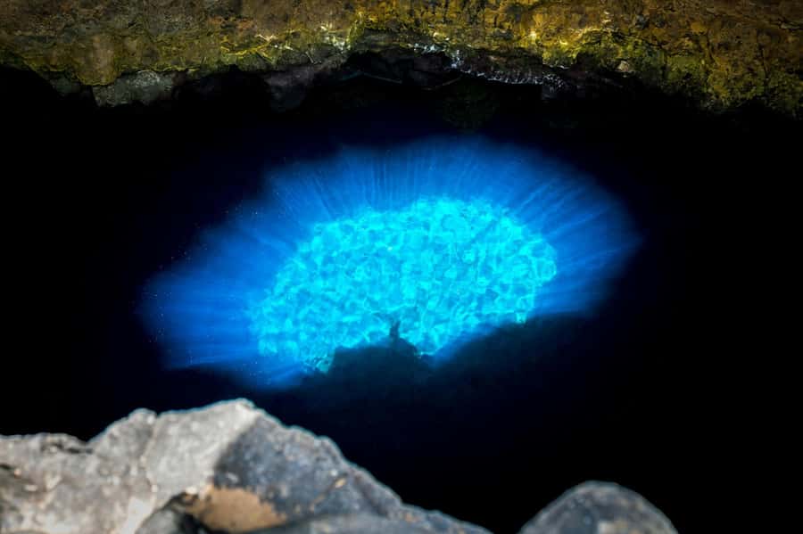 Adults Only Tour of Sal with Lobster Lunch and Salt Lake - Floating in Pedra da Lume’s volcanic crater