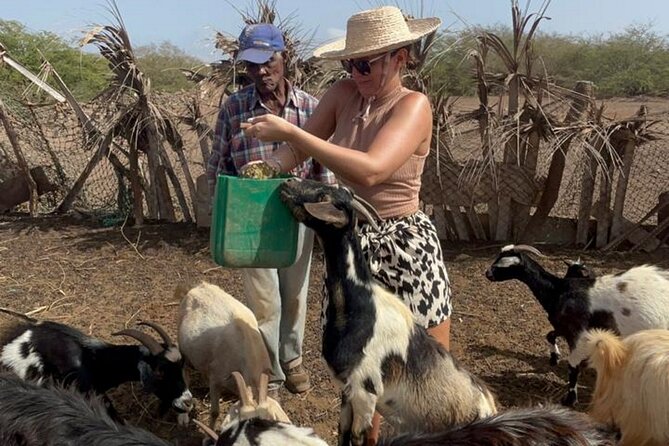 ALL-INCLUSSIVE Cabrer Journey-Live a day like a Cabrer-BoaVista - Meeting the family and walking through the village