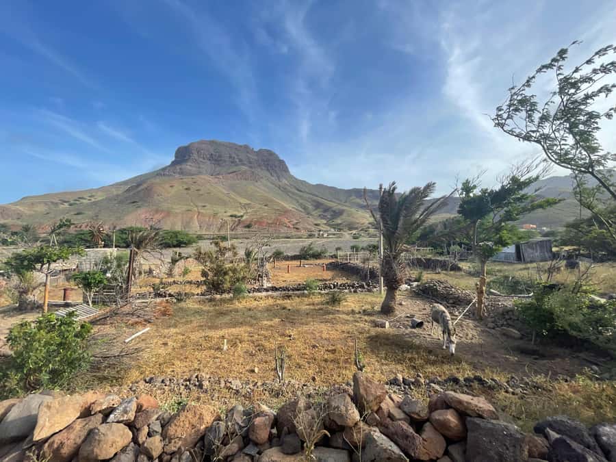 Beaches, Villages and Monte Verde (excludes city) - Why this five-hour São Vicente circuit works