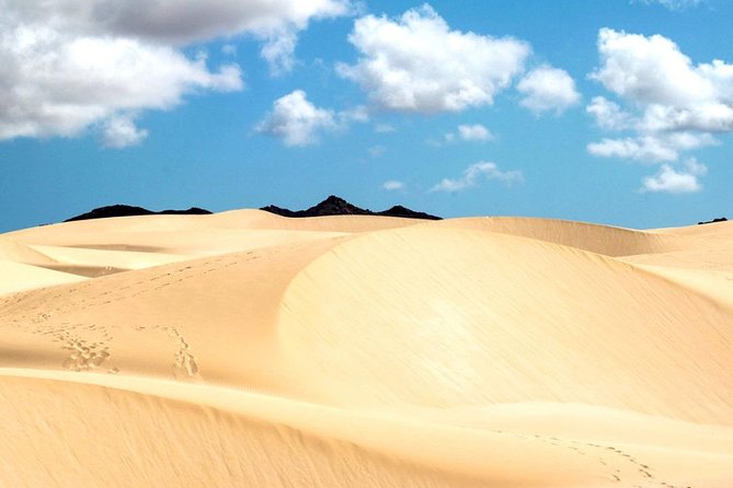 Big Boa Vista Exclusive Tour - The Cabo Santa Maria shipwreck: Boa Vista’s stark first stop