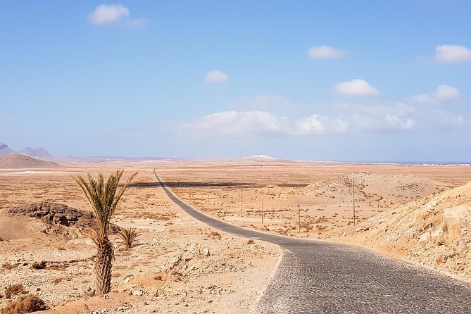 Big Boa Vista Exclusive Tour - Praia de Varandinha is the best stop for unusual photographs
