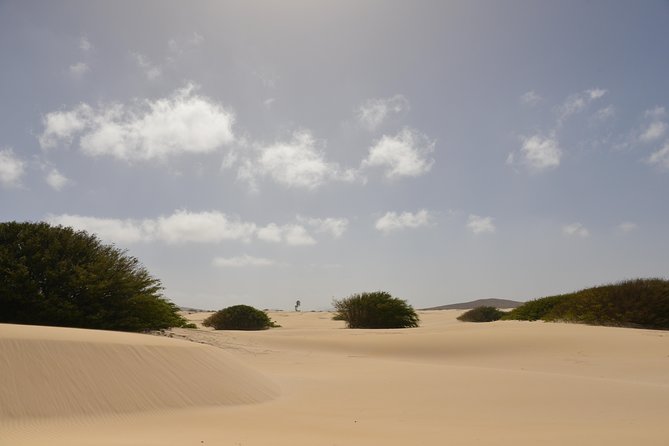 Big Boa Vista Exclusive Tour - Pérola de Chaves brings lunch beside the sea