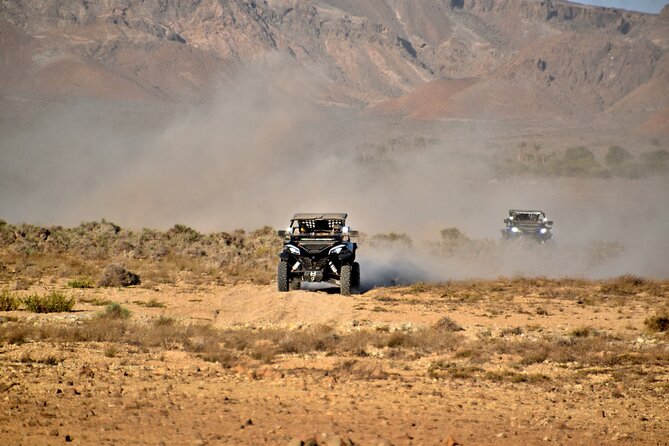 Boa Vista 2h Buggy Death Valley Adventure 1000cc - The oasis, where expectations matter
