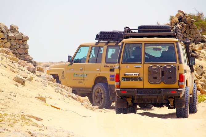 Boa Vista: 4h North Jeep Expedition Off-Road - Cabo Santa Maria and the 1968 shipwreck