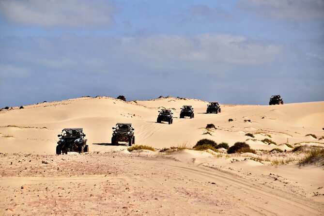 Boa Vista 4h South Buggy Adventure 1000cc - Praia de Chaves and the old chimney