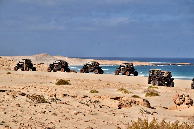 Boa Vista 4h South Buggy Adventure 1000cc - Santa Monica Beach and the biggest view