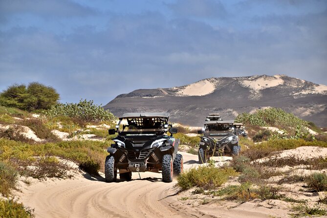 Boa Vista 4h South Buggy Adventure 1000cc - What the $289.62 price really means