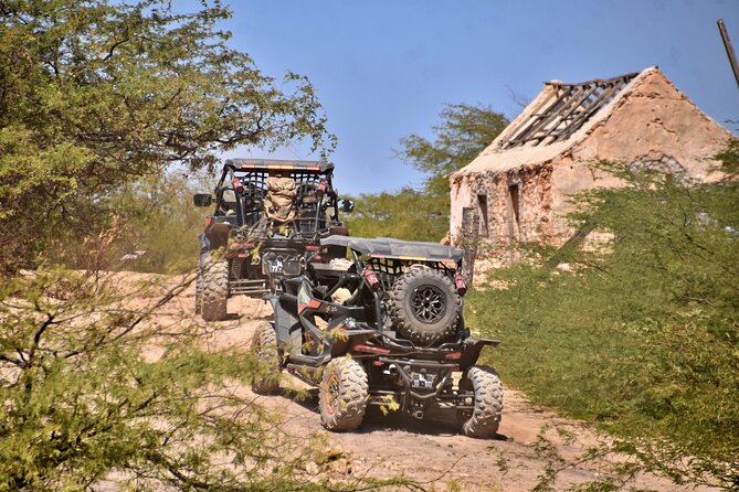 Boa Vista 4h South Buggy Adventure 1000cc - Starting in Sal Rei at 9:00 a.m.