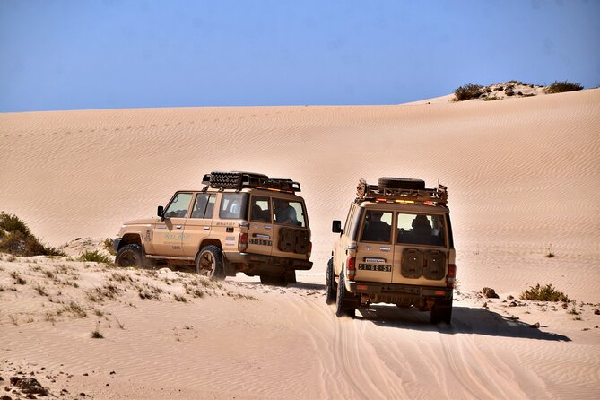 Boa Vista: 4h South Jeep Expedition Off-Road - Morro de Areia brings the first real off-road fun
