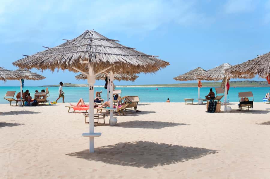 Boa Vista: Beautiful Beaches, Turtles & Djeu Island Snorkel - Shark Bay: good odds, no promises