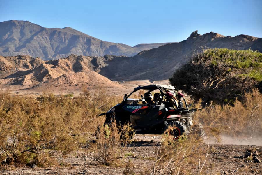 Boa Vista Buggy Tour: Death Valley Adventure (2-Hour) - Key points to know before booking