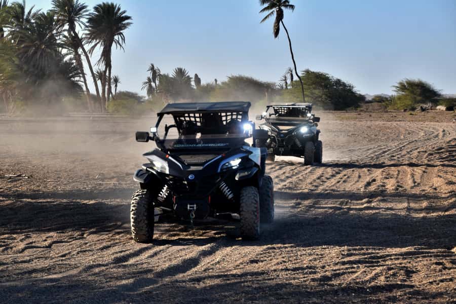 Boa Vista Buggy Tour: Death Valley Adventure (2-Hour) - Who should book this experience?