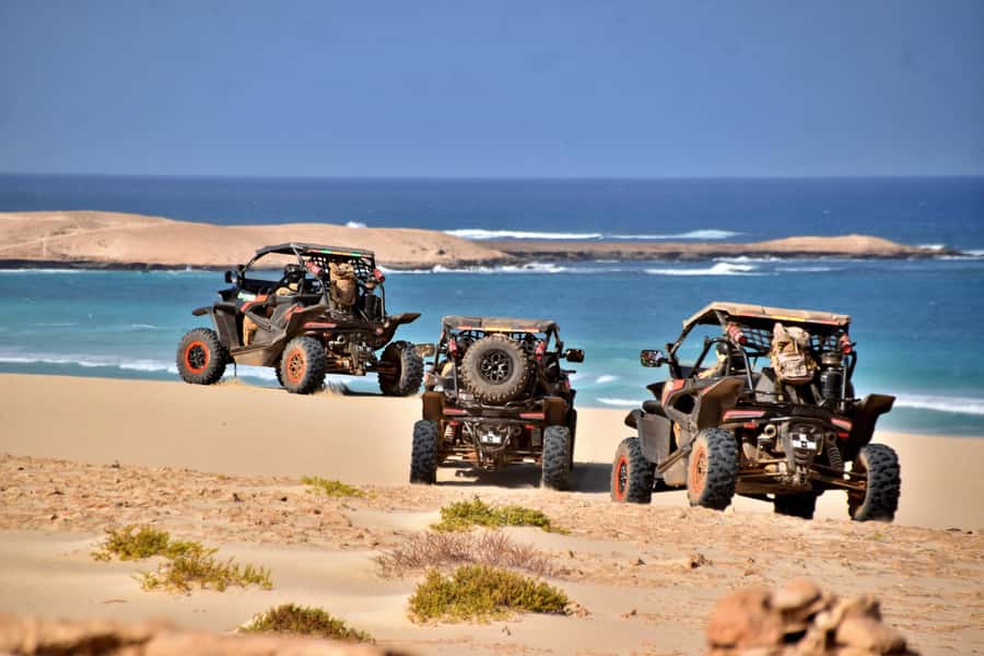 Boa Vista Buggy Tour: Santa Monica & South Desert (4-Hour) - Pickup, briefing, and getting behind the wheel