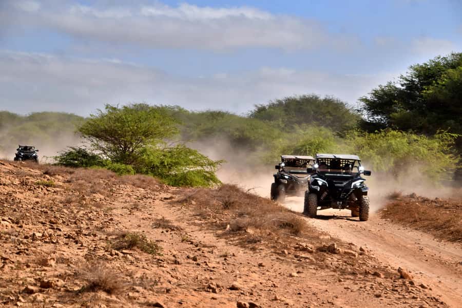Boa Vista Buggy Tour: Santa Monica & South Desert (4-Hour) - What the price gives you