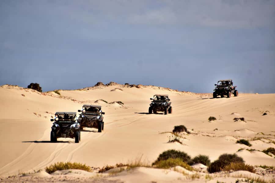Boa Vista Buggy Tour: Santa Monica & South Desert (4-Hour) - Who will enjoy this ride most