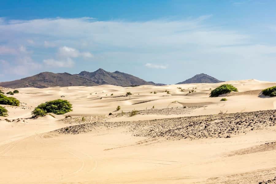 Boa Vista Full Day 4x4 Island Tour with Beachfront Lunch - Cabo de Santa Maria, Boa Vista’s rusting landmark