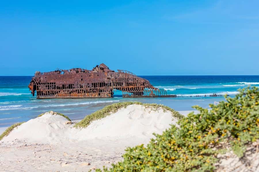Boa Vista Full Day 4x4 Island Tour with Beachfront Lunch - Who will get the most from this outing