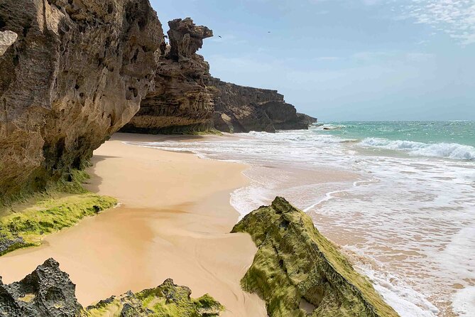 Boa Vista Island: Full Day North to South Discovery - Boa Vista in one long, useful day