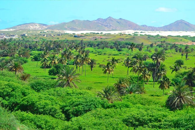 Boa Vista Island: Full-Day Wild Beaches & Viana Desert Experience - Viana Desert and its ten kilometers of sand