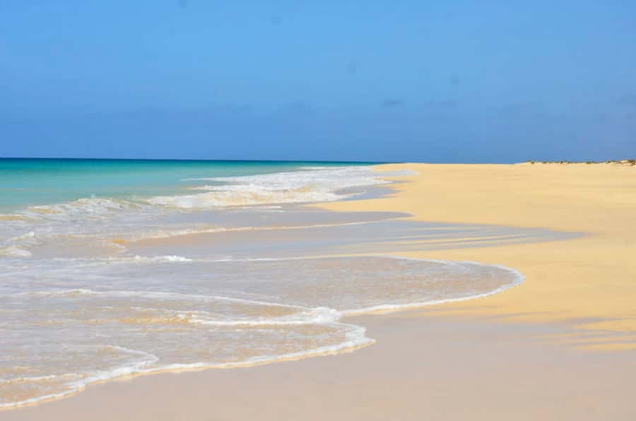 Boa Vista Island: Guided Santa Monica Beach & Caves Tour - Who will enjoy this tour most