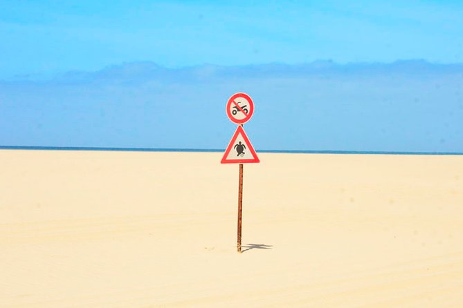Boa Vista Island: Half-day Northern Tour + Viana Desert Adventure - Praia da Atalanta and the coast near Sal Rei