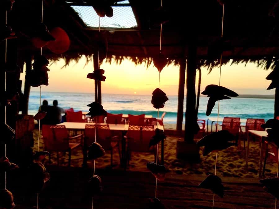 Boa Vista: Lobster Lunch at Santa Monica Beach - Why Santa Monica Beach makes this lunch different