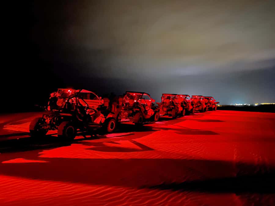 Boa Vista: Night Buggy Tour under the Stars (2-Hour) - Who will enjoy this most