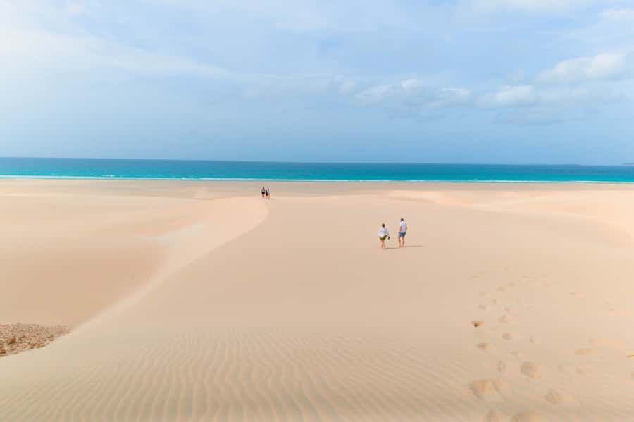 Boa Vista: Shark, Turtles, Cave, Sandboarding & Tasting Tour - Shark Bay comes with an honest wildlife warning