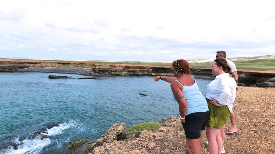 Boa Vista: Shark, Turtles, Cave, Sandboarding & Tasting Tour - Varandinha caves bring cliffs, birds, and good photographs