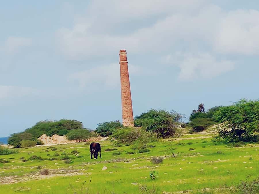 Boa Vista: Shipwreck, 4x4 Ride & Caves Day Tour with Lunch - Guides, languages, and the feel of the day