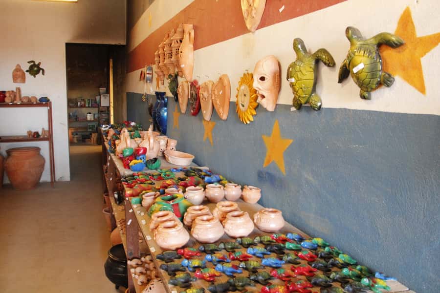Boa Vista: Shipwreck, 4x4 Ride & Caves Day Tour with Lunch - Who should book this Boa Vista tour?