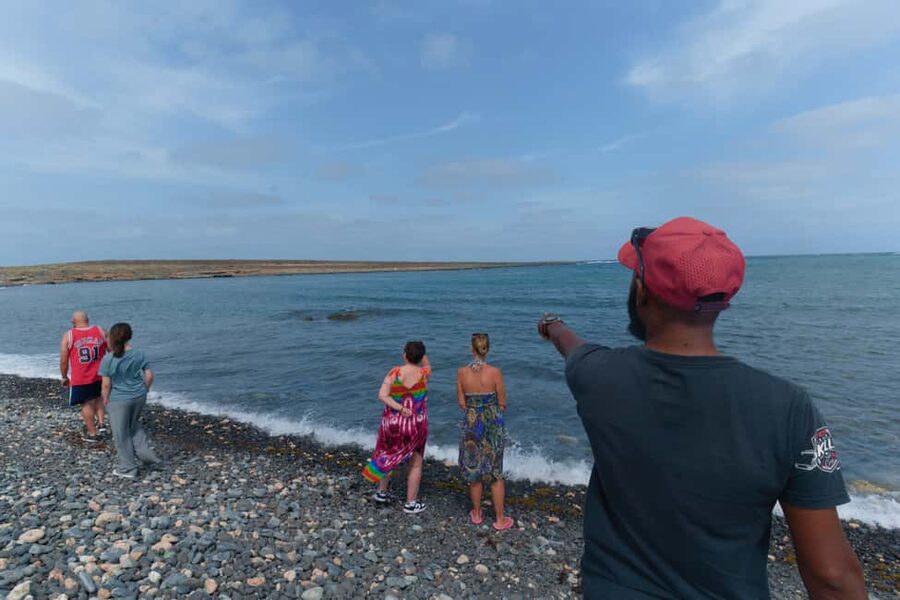 Boa Vista: Snorkeling at Gatas Bay & North East Tour - Who will enjoy this Boa Vista day most