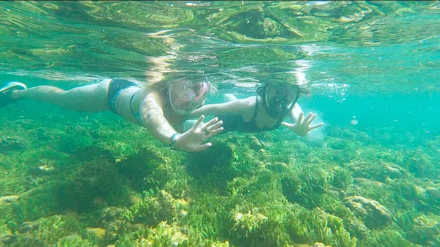 Boa Vista: Snorkeling at Gatas Bay & North East Tour - Fundo das Figueiras brings food and village life