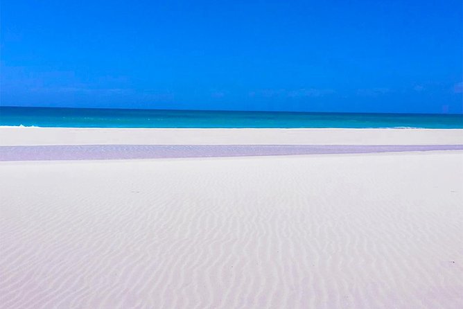 Boa Vista Tour: Santa Mónica, Desert & Shipwreck - Morro de Areia: where dunes meet the sea