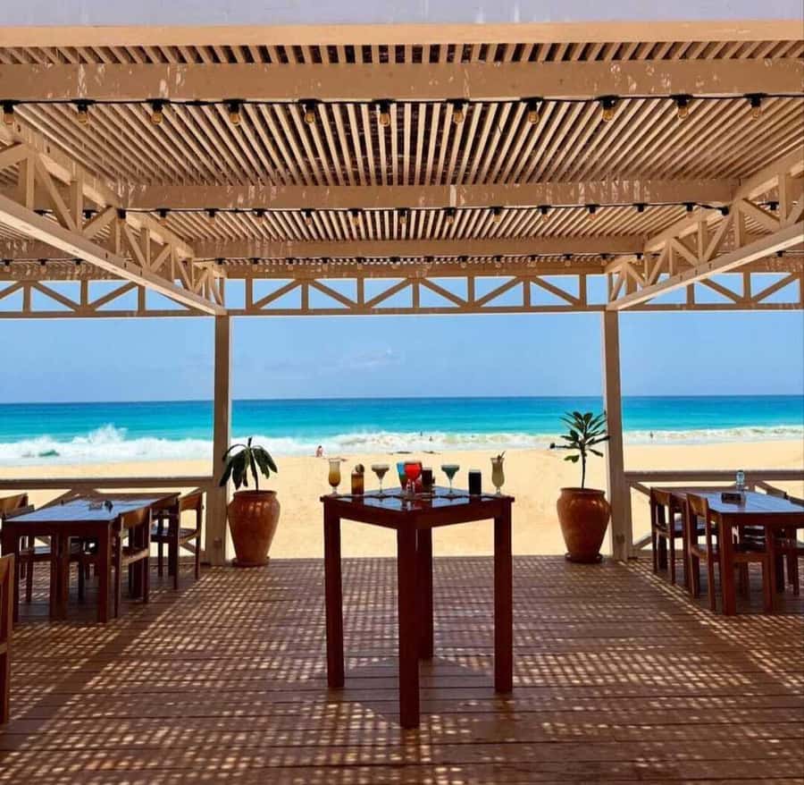 Boa Vista: Turtles, Sharks, City of Sal Rei, Santa Monica Beach, Shipwreck ... - Why this Boa Vista tour works well