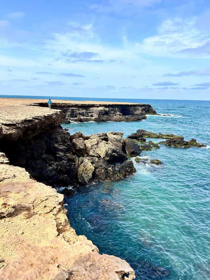 Boa Vista: Turtles, Sharks, City of Sal Rei, Santa Monica Beach, Shipwreck ... - Lunch and a look around Sal Rei