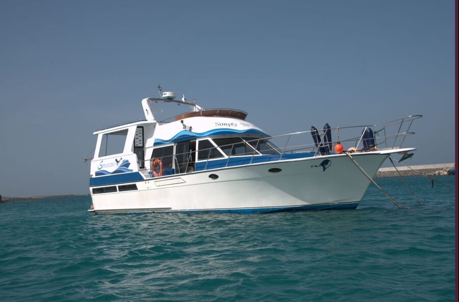 Boa Vista: Whale Watching Trip with Motoryacht - What the yacht setting adds, and what it does not