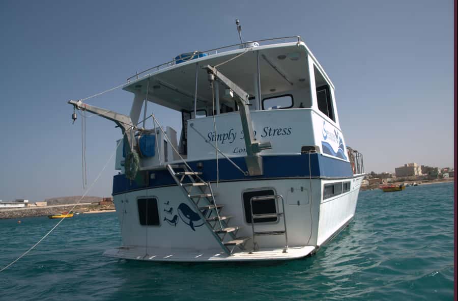Boa Vista: Whale Watching Trip with Motoryacht - Who will enjoy this outing most?