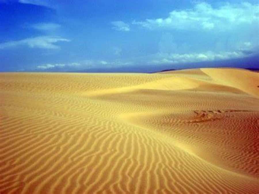 Boavista: 4h Shipwreck, Desert, Fatima Chapel & Pottery Tour - Rabil pottery and the hands behind it
