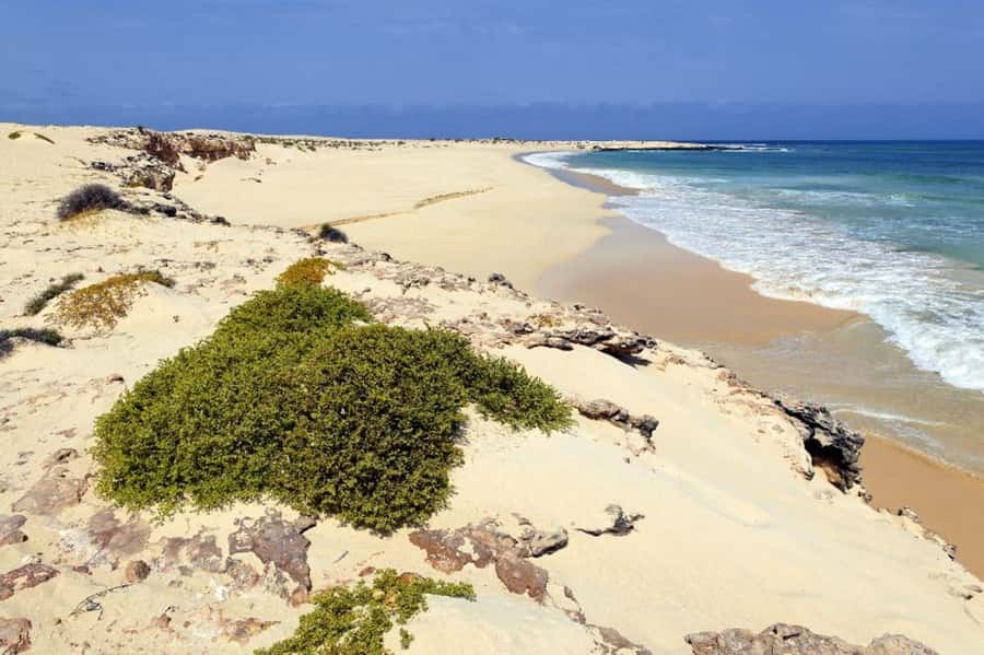 Boavista: 4h Shipwreck, Desert, Fatima Chapel & Pottery Tour - The Viana Desert and Atlantic-borne sand