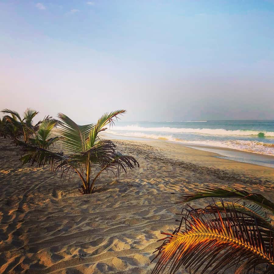 Boavista: Santa Monica beach, Varandinha cave, Sand dunes - A possible look at Sal Rei’s everyday life