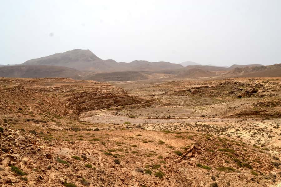 Boavista: Traditional & Local Experience Tour - Why the guide can make or break this outing