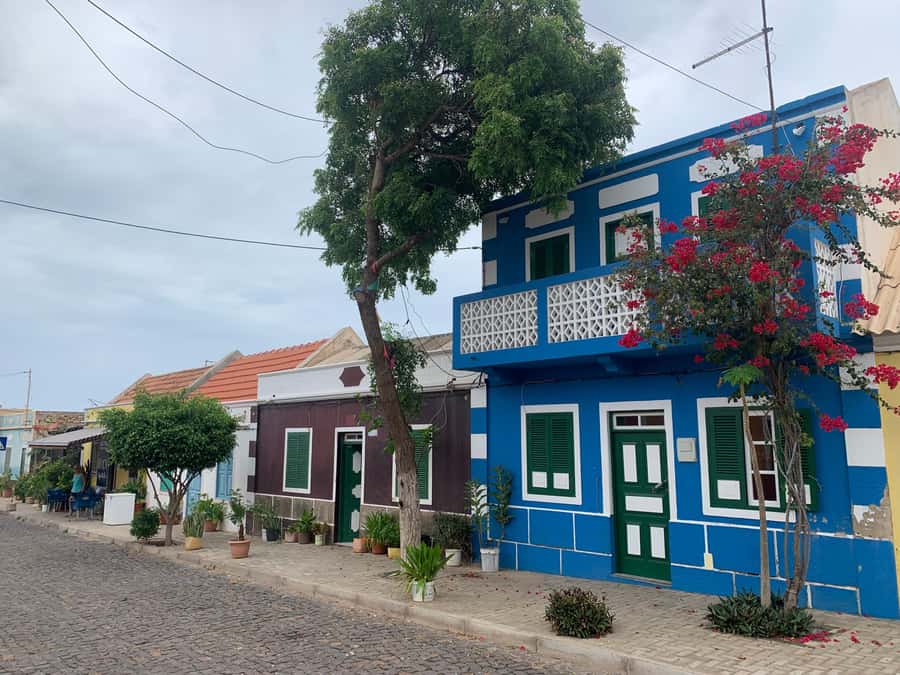 Boavista: Traditional & Local Experience Tour - Bofareira farm gives the tour its clearest local focus