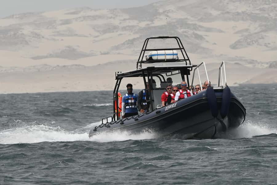 Boavista: Whale Watching half day trip - Who will enjoy this trip most